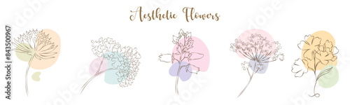 Aesthetic flowers vector collection can be used in a variety of ways, including card decorations, frames, digital print, sticker, wedding card, paper decorations, cards, backgrounds, and more.