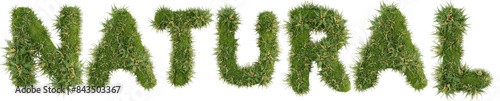 3D render letters Natural made of grass and flowers with transparent background