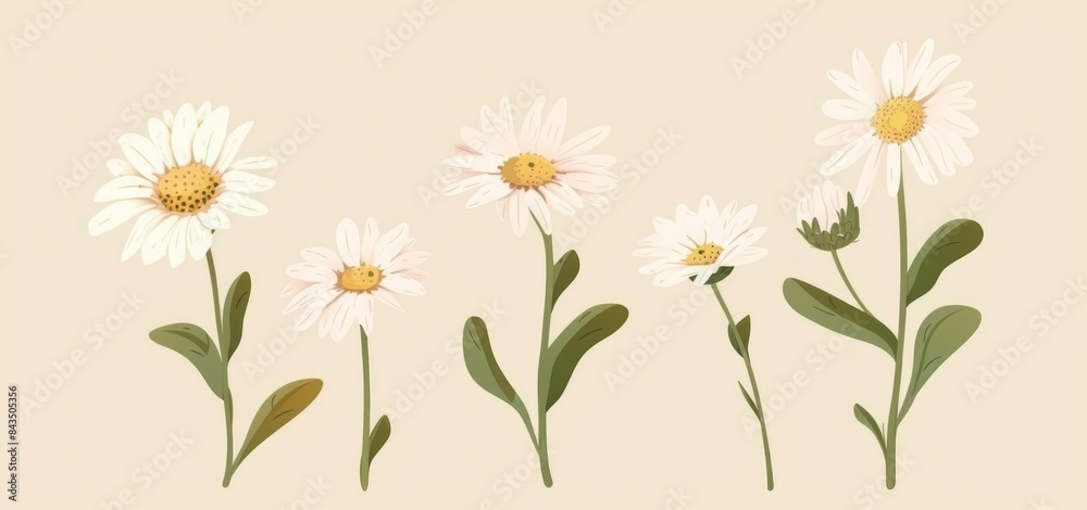 Daisy flower bouquet vector illustration set isolated on beige background, showcasing various growth stages - Generative AI Daisy flower bouquet vector illustration set isolated on beige background, showcasing various growth stages - Generative AI