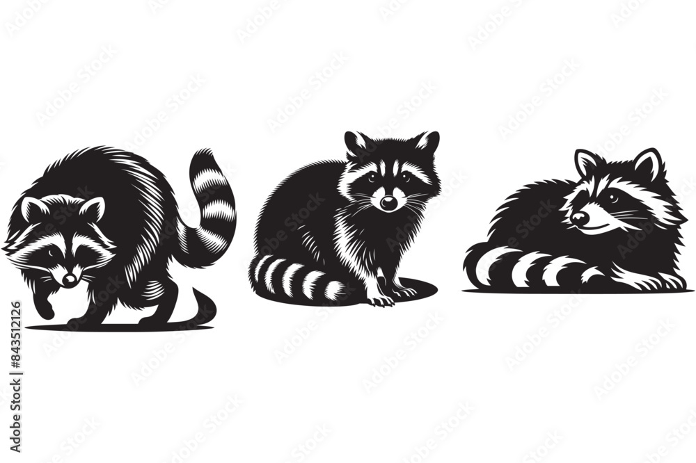 Obraz premium Raccoon vector silhouette illustration