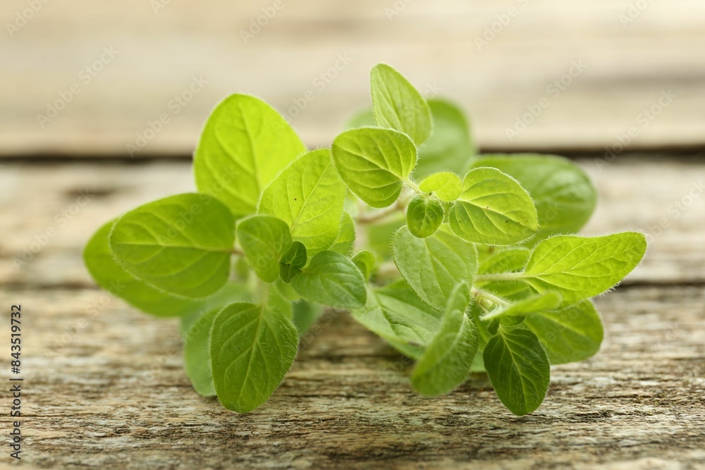 Sprigs of fresh green oregano on wooden table, closeup Sprigs of fresh green oregano on wooden table, closeup