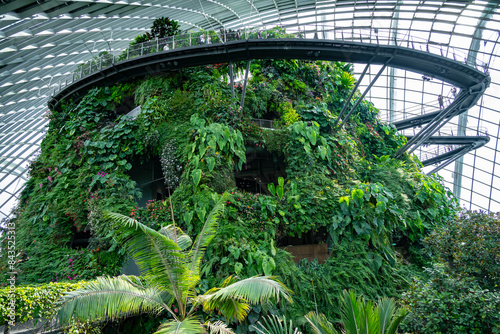 Cloud Forest in the Gardens by the Bay nature park in Singapore