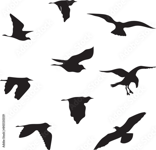 Full package illustration of a seagull silhouette in flight 