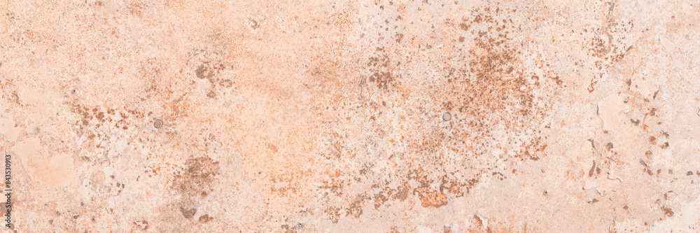 Old rusted metal texture. The surface of rough iron wall. Wide panoramic background for design. Old rusted metal texture. The surface of rough iron wall. Wide panoramic background for design.