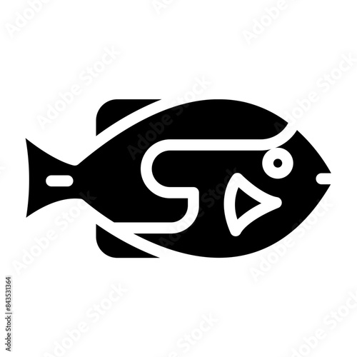 fish or seafood