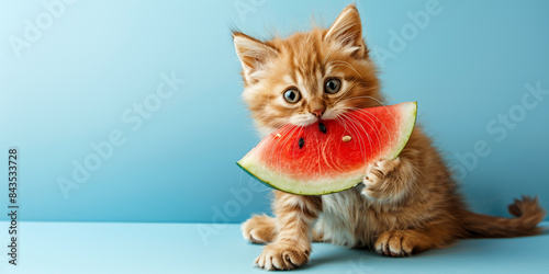 A ginger kitten eats a watermelon. Copy space.