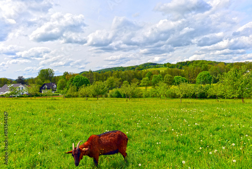 Blankenbach im Landkreis Aschaffenburg (Bayern) photo