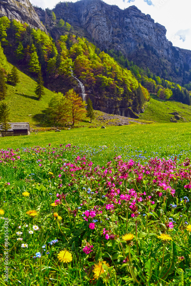 Fototapeta premium Die Seealp am Seealpsee im Alpsteingebirge, Kanton Appenzell Innerrhoden (Schweiz)