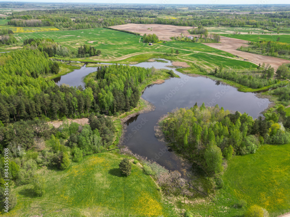 Aerial landscape of dark lake and green spring forest Aerial landscape of dark lake and green spring forest