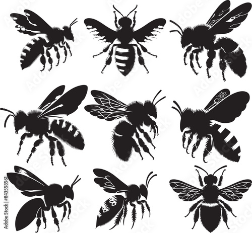Africanized bee (killer bee) silhouette,  vector Bundle 