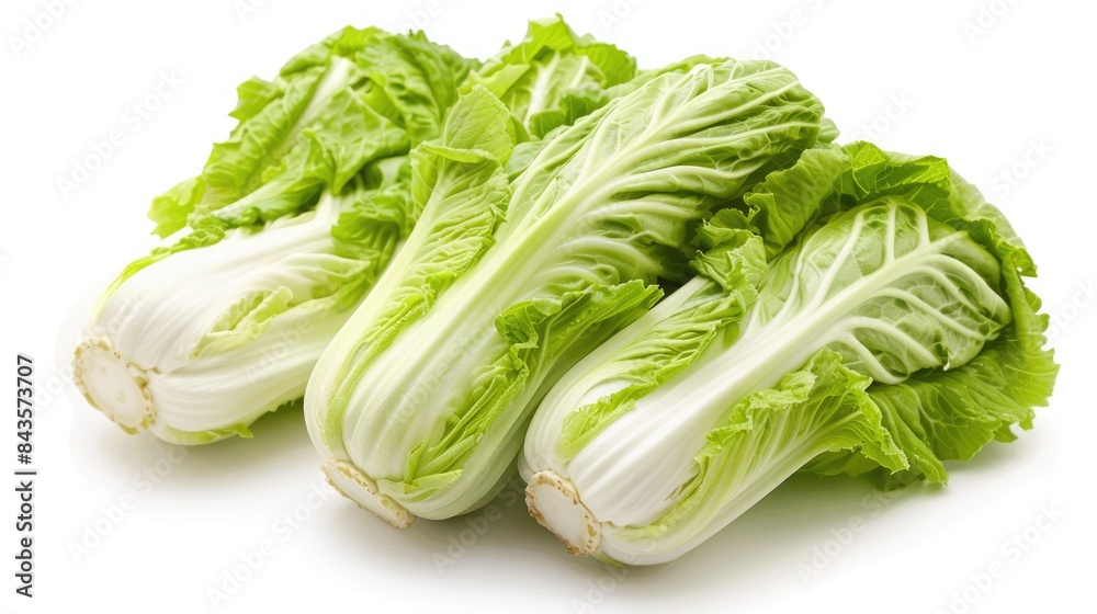 Fresh Chinese cabbages arranged on a white background Fresh Chinese cabbages arranged on a white background