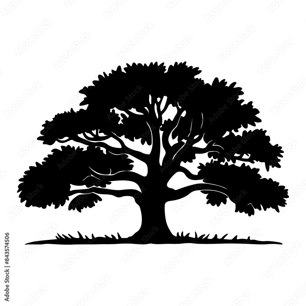Fototapeta premium Tree Silhouette 