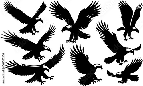 Set of black eagle silhouettes, majestic bird of prey illustrations in various poses photo