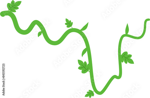 Liana vines Illustration 