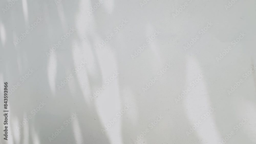 Summer concept the movement of sunlight natural shadow on white textured background, for product presentation, backdrop and mockup.