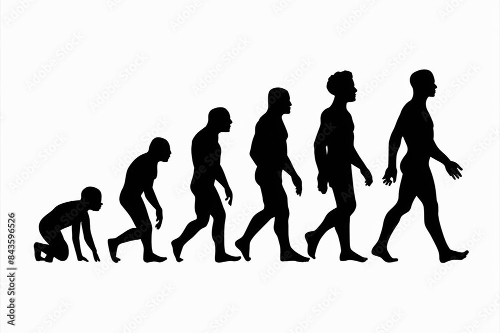 human evolution silhouette, evolution of human human evolution silhouette, evolution of human