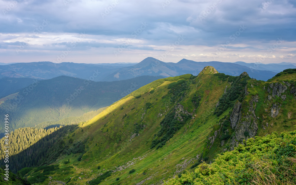 Summer mountain landscape in the evening. The rocky slopes are covered with mountain pine, rhododendron and other plants Summer mountain landscape in the evening. The rocky slopes are covered with mountain pine, rhododendron and other plants