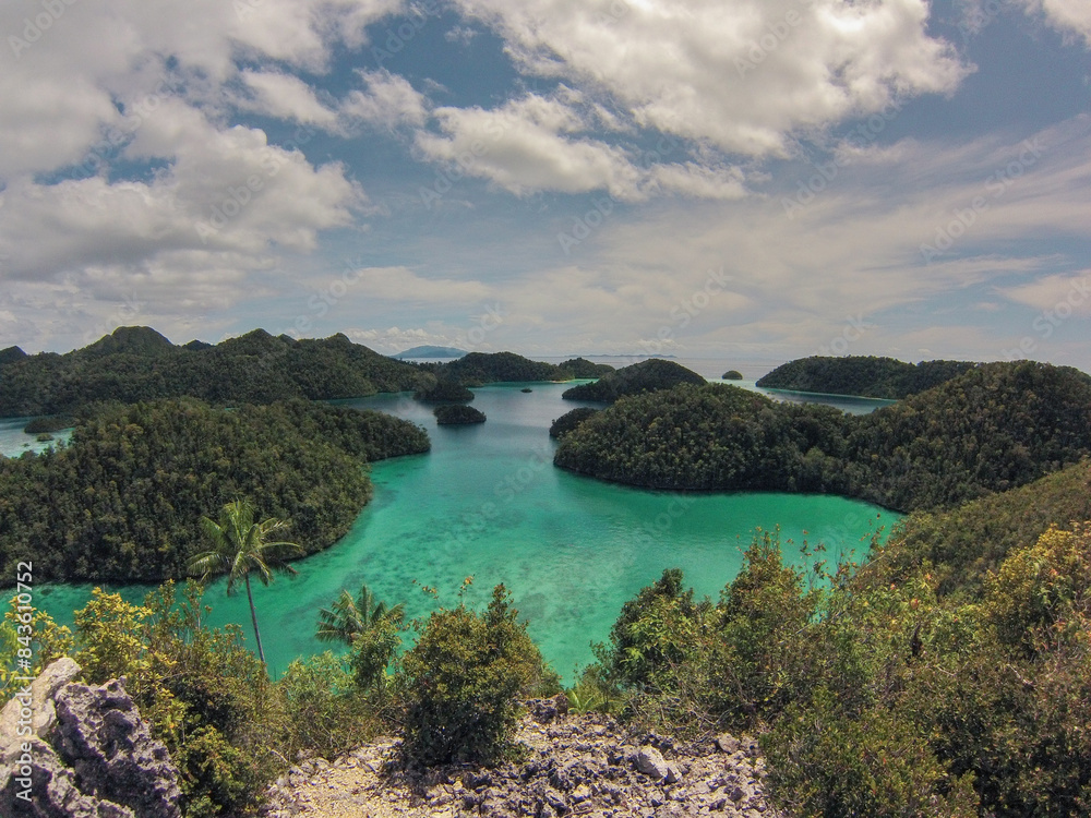 Scenic view of limestone outcrops and islands covered in vegetation in turquoise waters of Raja Ampat regency, Wajag island Scenic view of limestone outcrops and islands covered in vegetation in turquoise waters of Raja Ampat regency, Wajag island