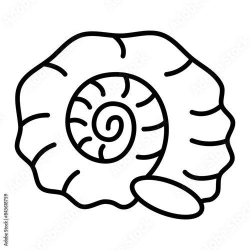 Conch shell icon. outline icon