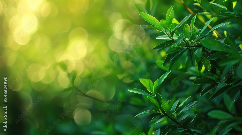 Emerging Green Background Image Emerging Green Background Image