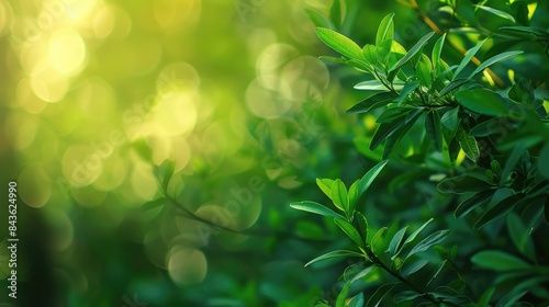 Emerging Green Background Image