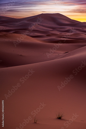 サハラ砂漠の夜明け前