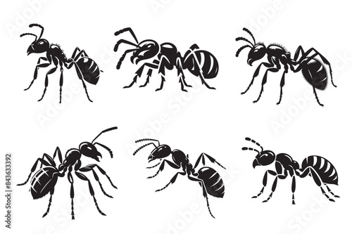 Ant silhouette vector illustration.eps