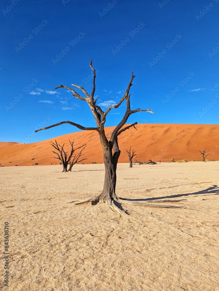 The striking red dunes of Sossusvlei in the Namib-Naukluft National Park, Namibia, creating a dramatic desert landscape. The striking red dunes of Sossusvlei in the Namib-Naukluft National Park, Namibia, creating a dramatic desert landscape.