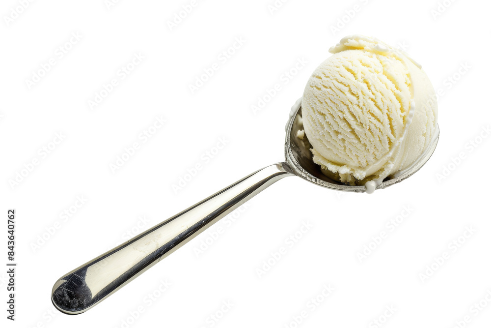 Vanilla Ice Cream Scoop Vanilla Ice Cream Scoop
