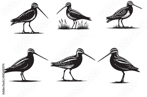 snipe silhouette vector illustration