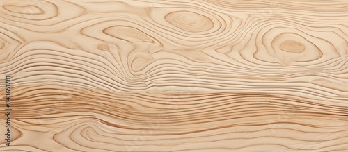 A light colored natural wood grain texture background with various organic shapes Copy space image