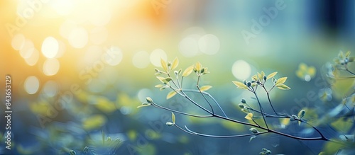 In nature there is a beautiful combination of blurred and bokeh light creating a mesmerizing effect. Copyspace image