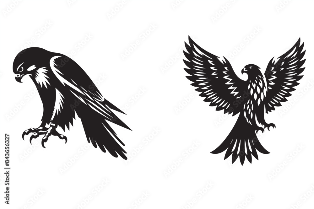 Fototapeta premium Falcon Bird silhouette vector illustration