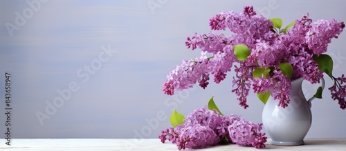 A huge bouquet of lilacs in a large vase isolated on a light gray background Still life with flowers plenty of space for text. copy space available