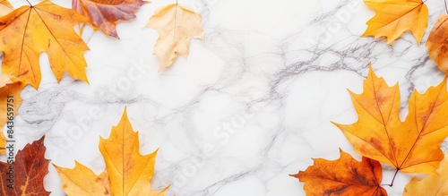 Colorful textured yellow and brown fall leaves scattered on a white mable background in a modern flat top down view Fall and thanksgiving concept with copy space
