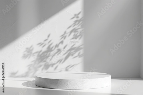 premium white background with plant shadow on white wall and stone podium for product presentation.