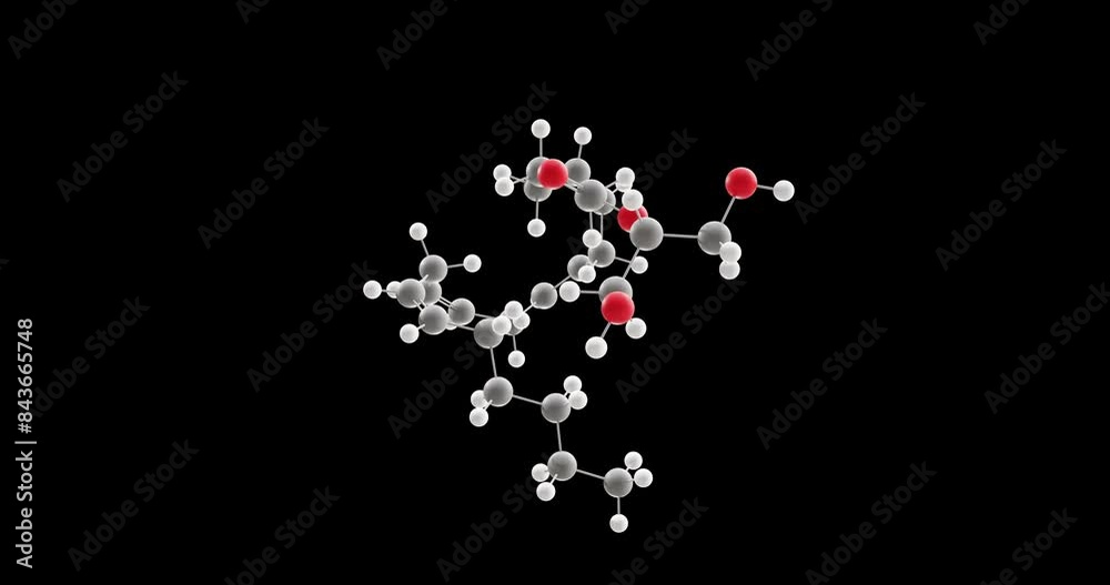 2-Arachidonoylglycerol molecule, rotating 3D model of endocannabinoid, looped video on a black background 2-Arachidonoylglycerol molecule, rotating 3D model of endocannabinoid, looped video on a black background