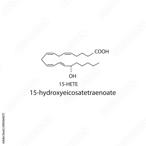 15HETE, 15-hydroxyeicosatetraenoate skeletal structure diagram.prostanoid compound molecule scientific illustration on white background. photo