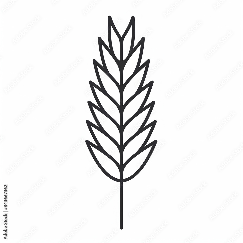 Line art drawing of wheat ear Line art drawing of wheat ear