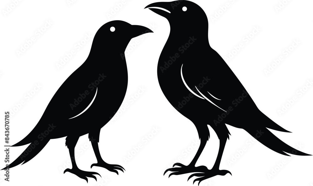 Fototapeta premium set of black bird silhouettes vector elements vector