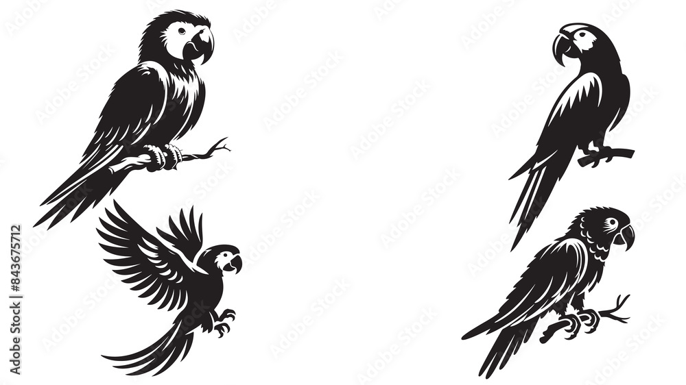 Obraz premium parrot silhouette vector illustration