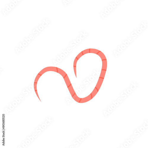 pinworms vector 