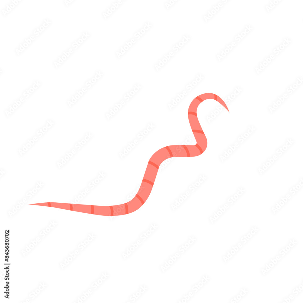 pinworms vector pinworms vector