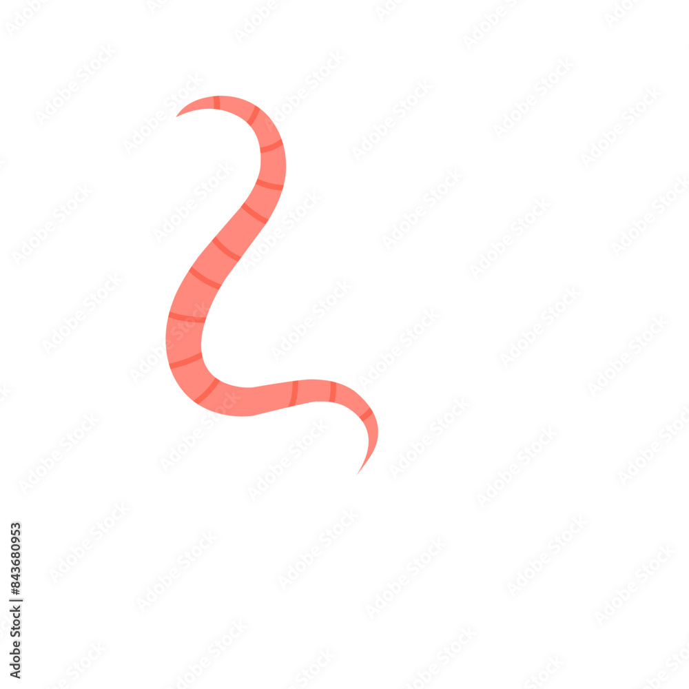 pinworms vector 