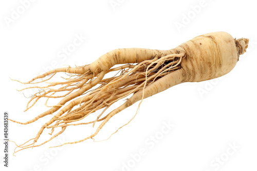 Fresh Ginseng Root on White Background - High-Quality Image of a Single Ginseng Root with Detailed Texture and Natural Color photo