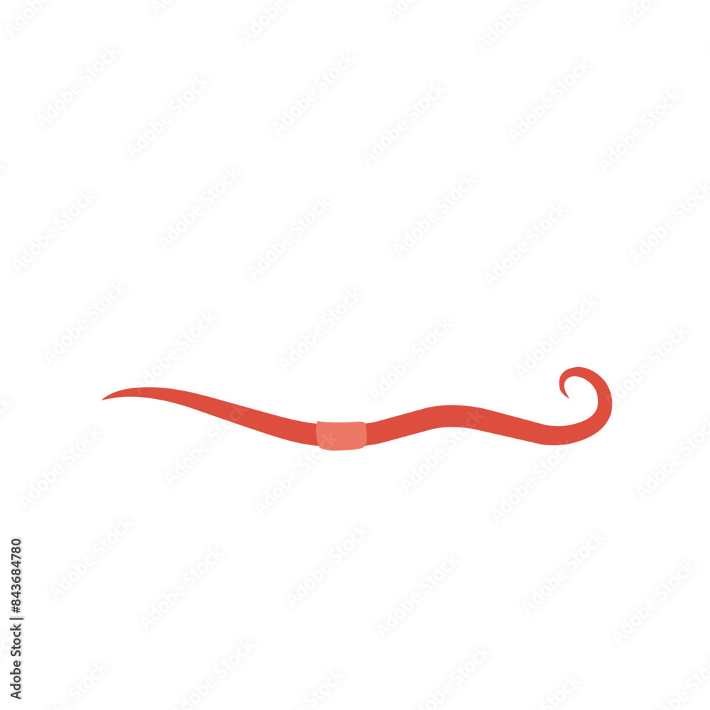red worm vector red worm vector