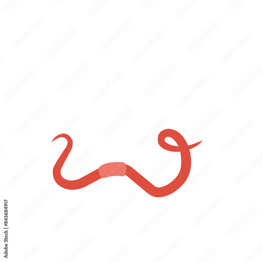 red worm vector red worm vector