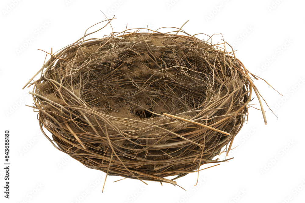 Empty bird nest isolated on transparent background