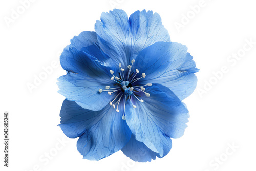 Fresh blue flower isolated on transparent background