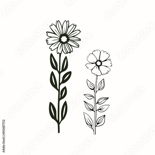 illustration of a flower